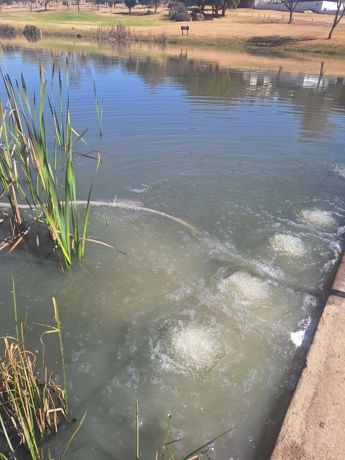 Before visual for Blue Valley Estate — Dam recovery