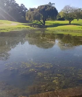 Rocklands Dam visual for Country Club Johannesburg — Rocklands Dam