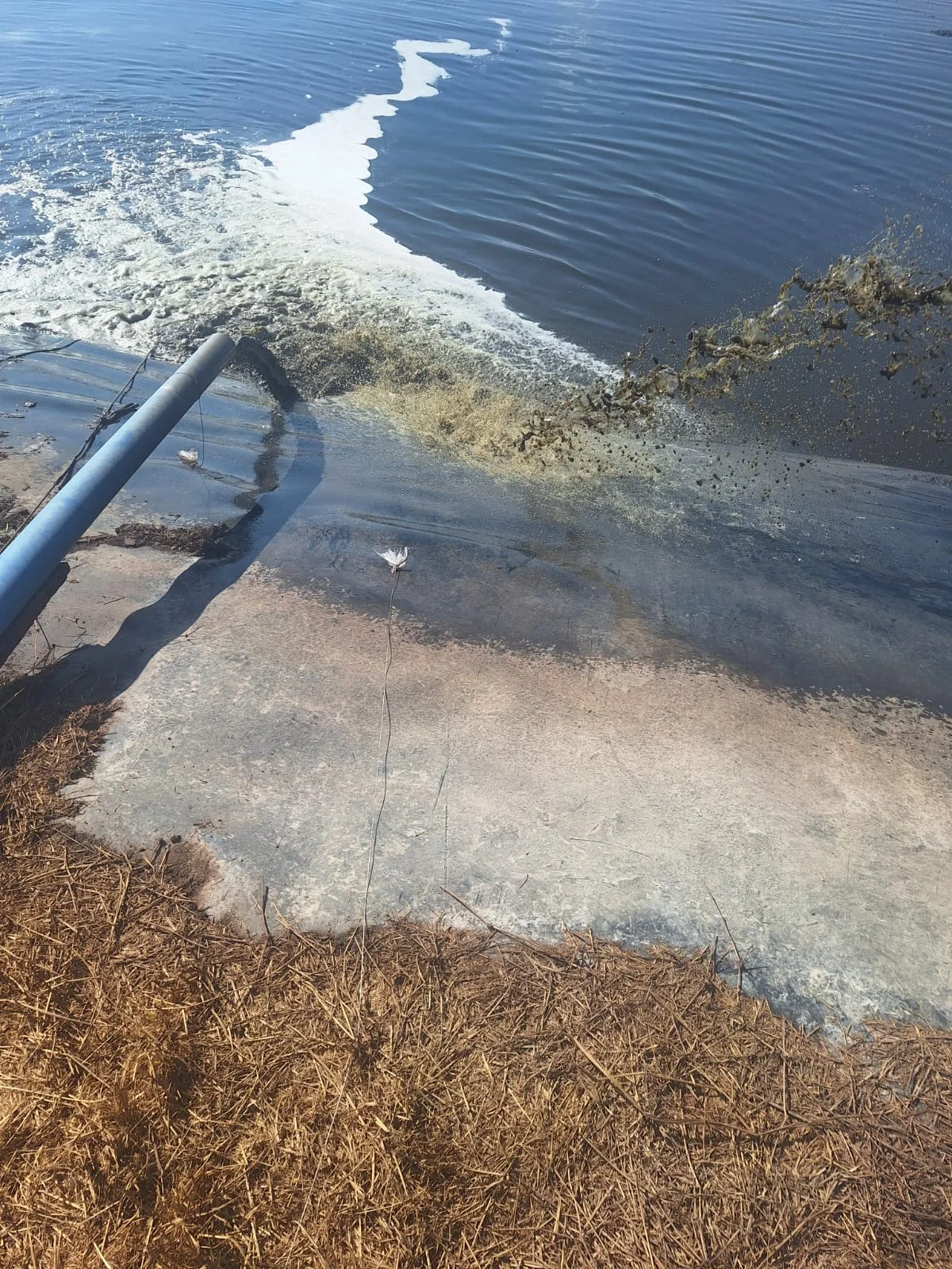 Before photo 2 for Agricultural effluent treatment on a working pig farm